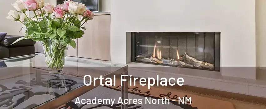 Ortal Fireplace Academy Acres North - NM