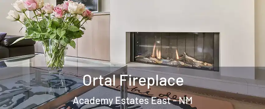 Ortal Fireplace Academy Estates East - NM