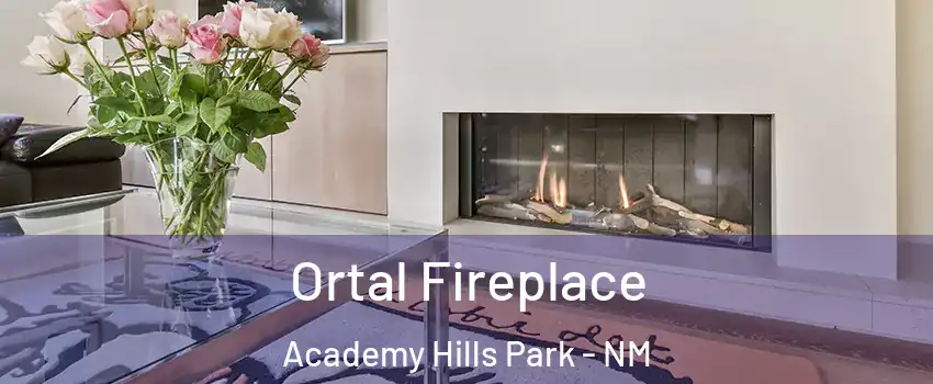 Ortal Fireplace Academy Hills Park - NM