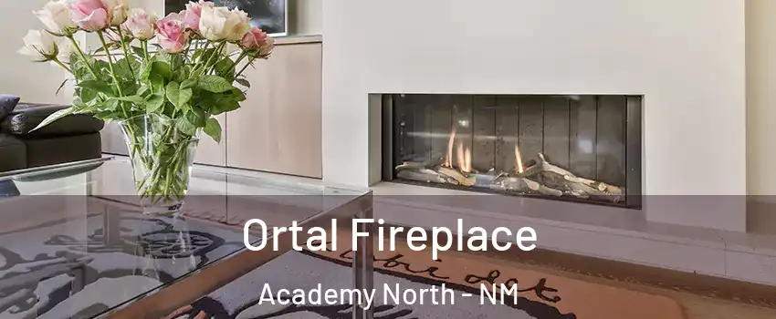 Ortal Fireplace Academy North - NM