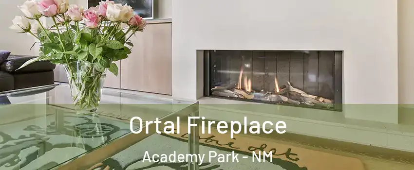 Ortal Fireplace Academy Park - NM