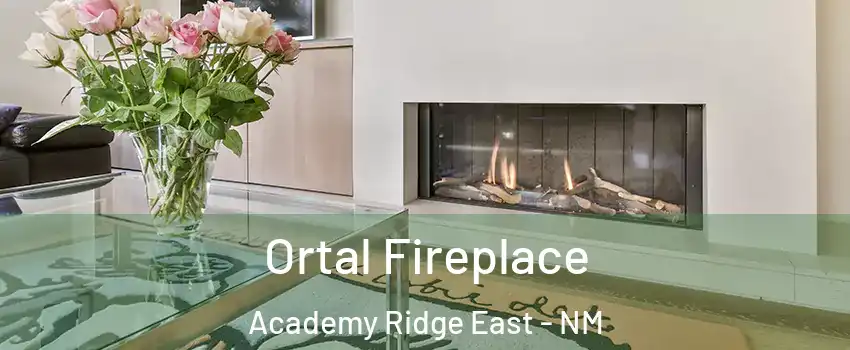 Ortal Fireplace Academy Ridge East - NM