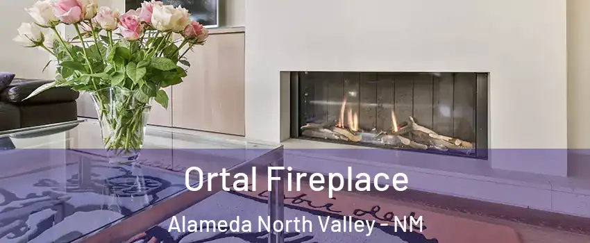 Ortal Fireplace Alameda North Valley - NM
