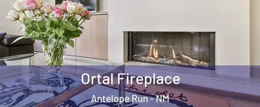 Ortal Fireplace Antelope Run - NM