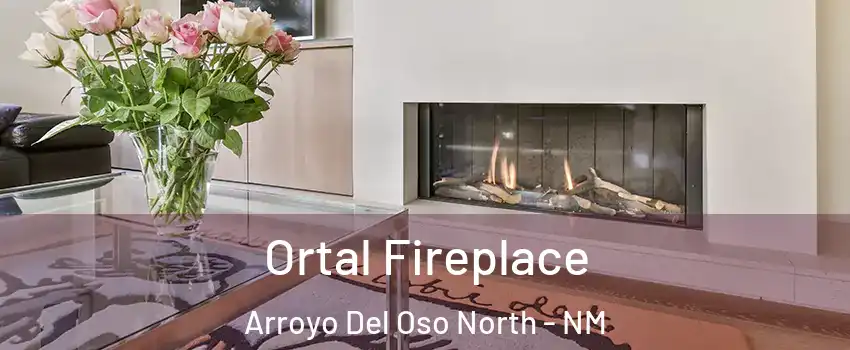 Ortal Fireplace Arroyo Del Oso North - NM