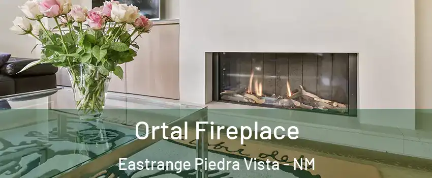 Ortal Fireplace Eastrange Piedra Vista - NM