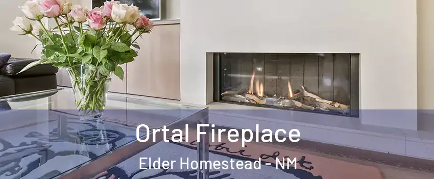 Ortal Fireplace Elder Homestead - NM
