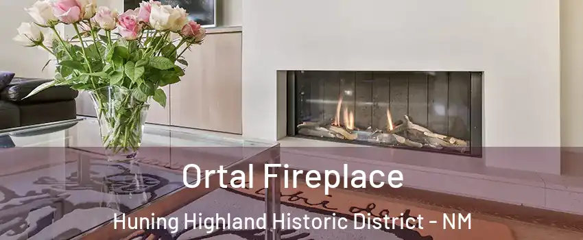 Ortal Fireplace Huning Highland Historic District - NM