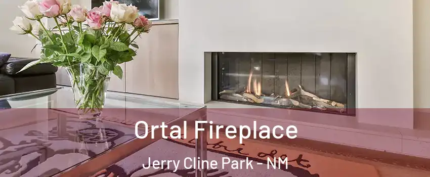 Ortal Fireplace Jerry Cline Park - NM
