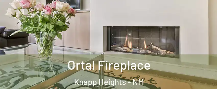 Ortal Fireplace Knapp Heights - NM