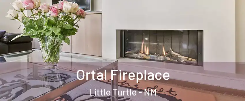 Ortal Fireplace Little Turtle - NM