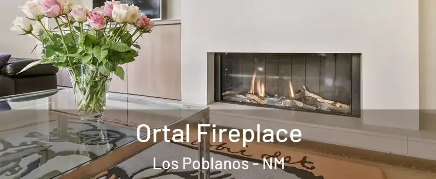 Ortal Fireplace Los Poblanos - NM