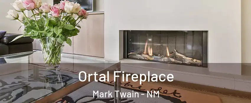 Ortal Fireplace Mark Twain - NM