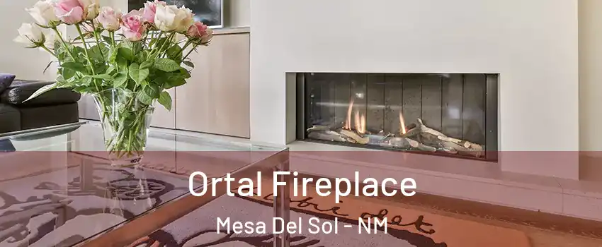 Ortal Fireplace Mesa Del Sol - NM