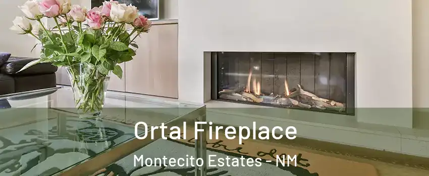 Ortal Fireplace Montecito Estates - NM