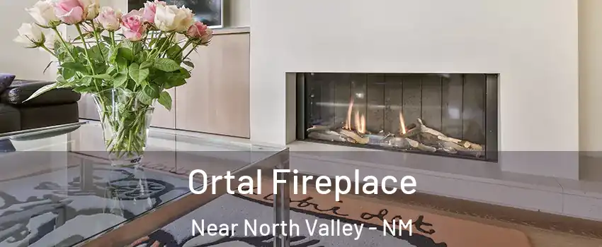 Ortal Fireplace Near North Valley - NM