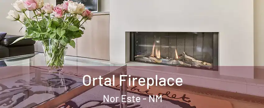 Ortal Fireplace Nor Este - NM