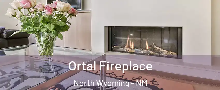Ortal Fireplace North Wyoming - NM