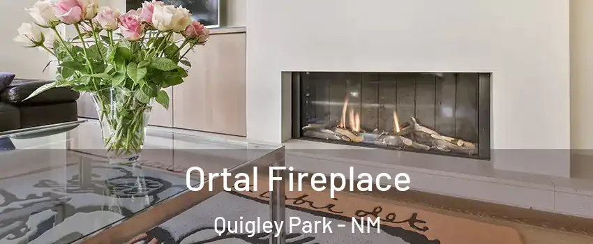 Ortal Fireplace Quigley Park - NM