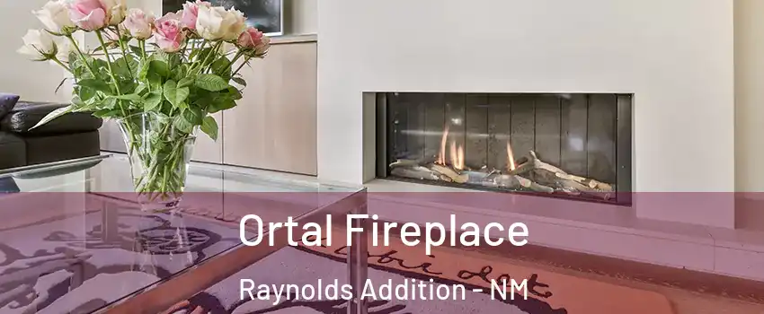 Ortal Fireplace Raynolds Addition - NM