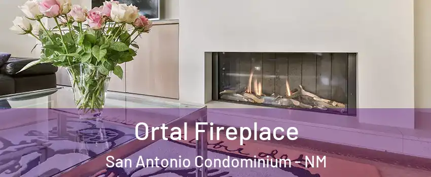 Ortal Fireplace San Antonio Condominium - NM