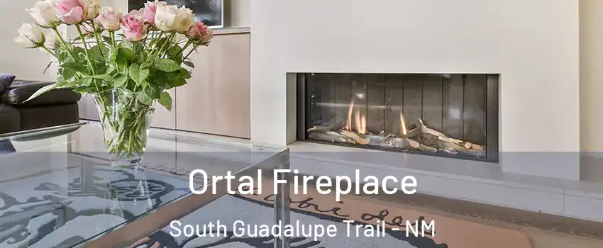 Ortal Fireplace South Guadalupe Trail - NM