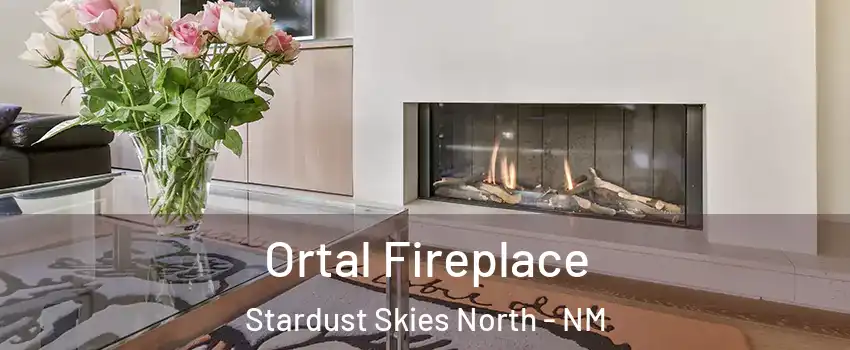 Ortal Fireplace Stardust Skies North - NM