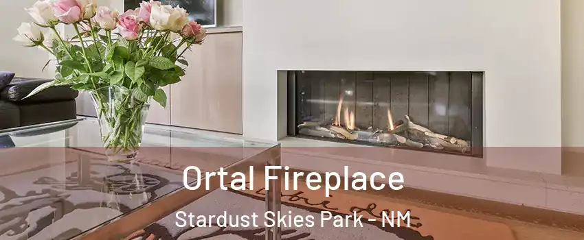Ortal Fireplace Stardust Skies Park - NM