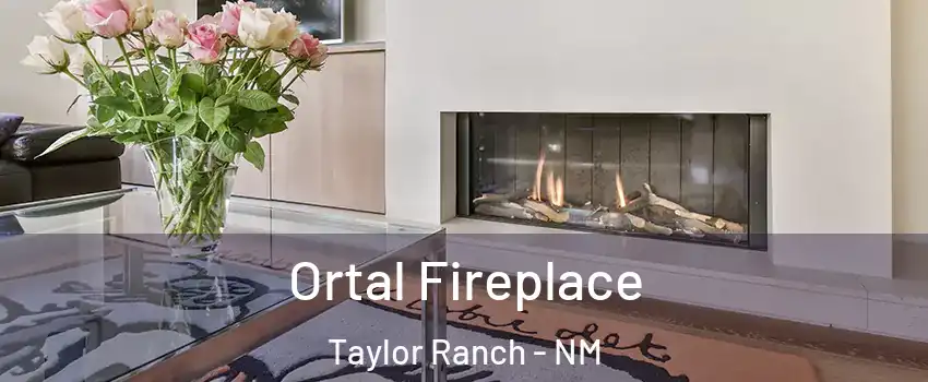 Ortal Fireplace Taylor Ranch - NM