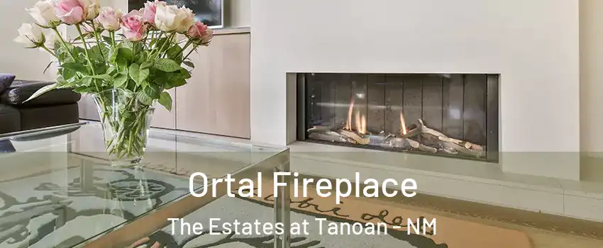 Ortal Fireplace The Estates at Tanoan - NM