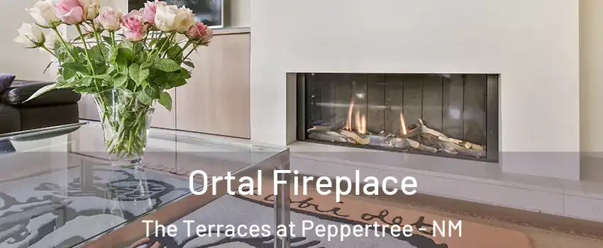 Ortal Fireplace The Terraces at Peppertree - NM