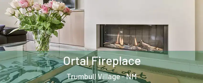 Ortal Fireplace Trumbull Village - NM