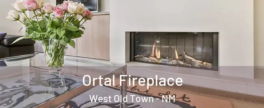 Ortal Fireplace West Old Town - NM