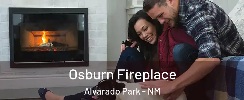 Osburn Fireplace Alvarado Park - NM