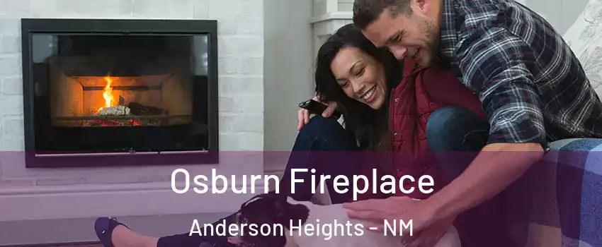Osburn Fireplace Anderson Heights - NM