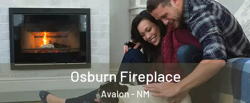 Osburn Fireplace Avalon - NM