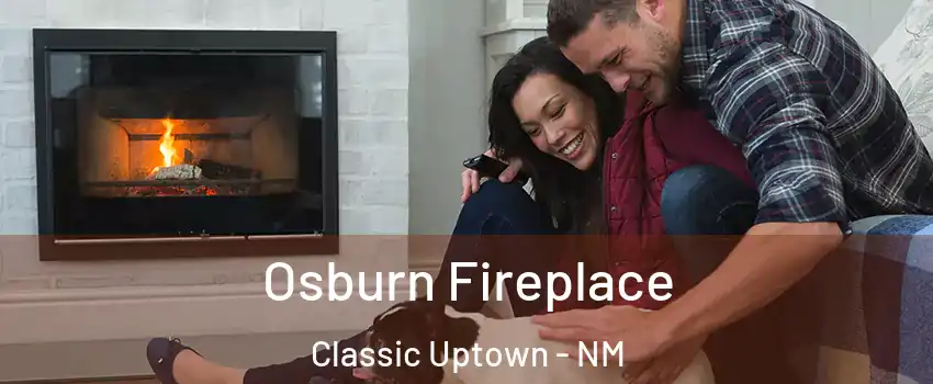 Osburn Fireplace Classic Uptown - NM