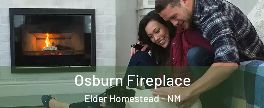Osburn Fireplace Elder Homestead - NM