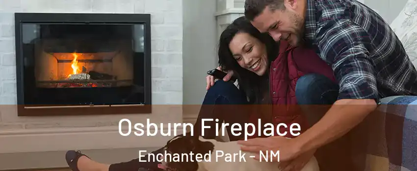 Osburn Fireplace Enchanted Park - NM