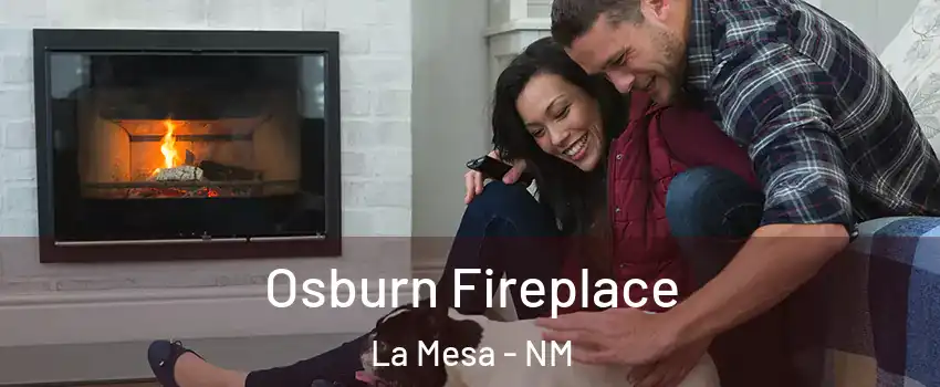 Osburn Fireplace La Mesa - NM