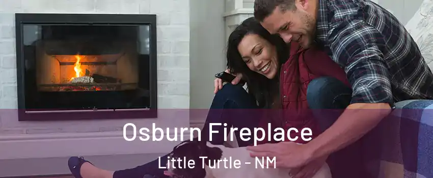 Osburn Fireplace Little Turtle - NM