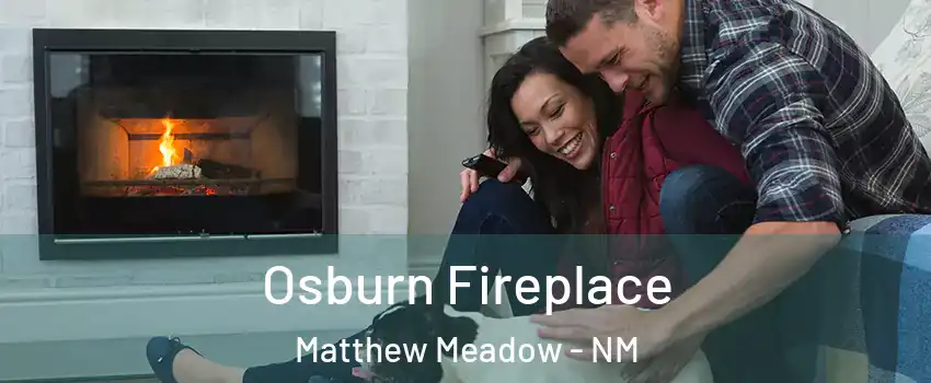 Osburn Fireplace Matthew Meadow - NM