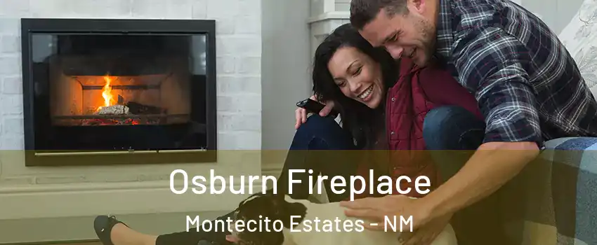 Osburn Fireplace Montecito Estates - NM