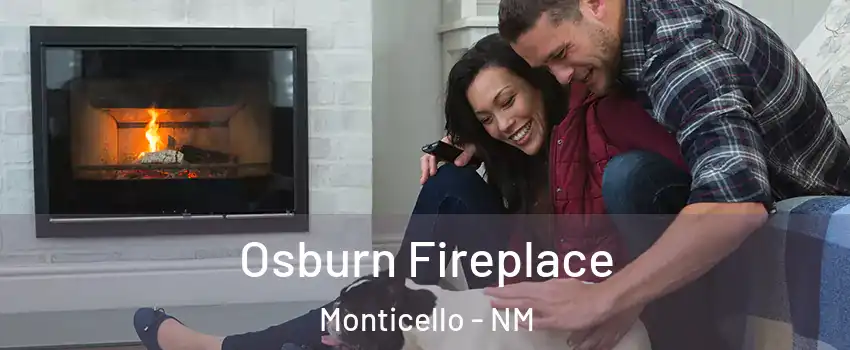 Osburn Fireplace Monticello - NM