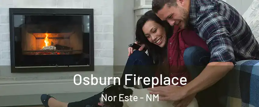 Osburn Fireplace Nor Este - NM