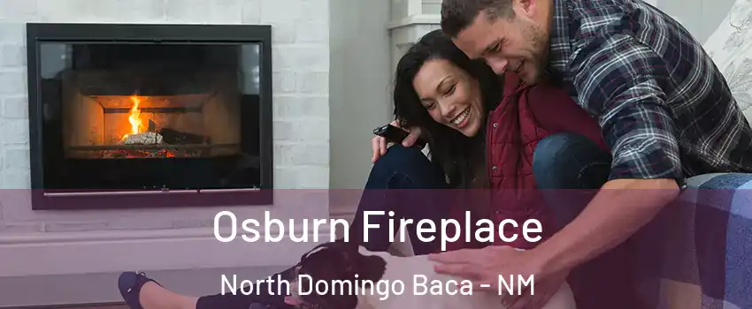 Osburn Fireplace North Domingo Baca - NM