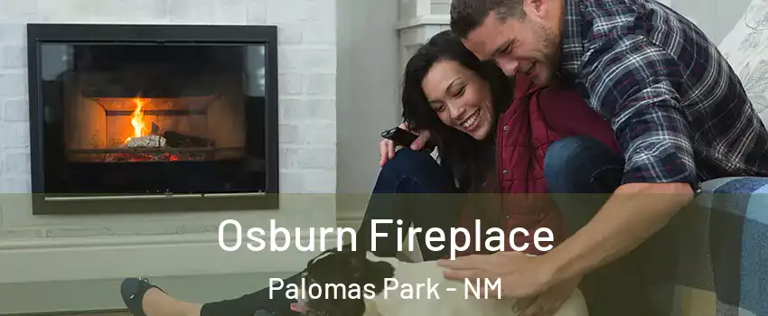 Osburn Fireplace Palomas Park - NM