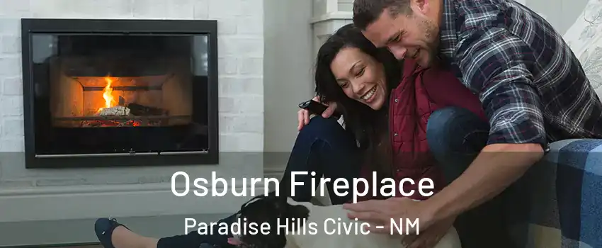 Osburn Fireplace Paradise Hills Civic - NM