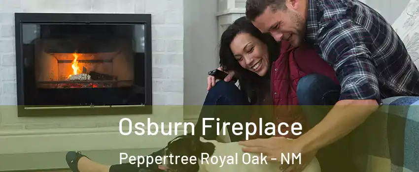 Osburn Fireplace Peppertree Royal Oak - NM