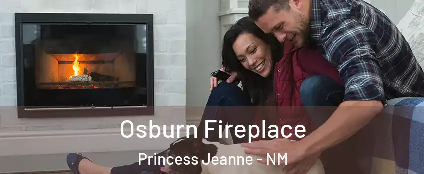 Osburn Fireplace Princess Jeanne - NM
